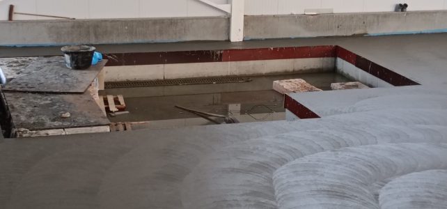 WhatsApp Image 2026-03-03 at 16.59.37