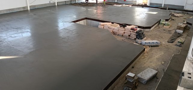 WhatsApp Image 2026-03-03 at 16.59.39 (2)